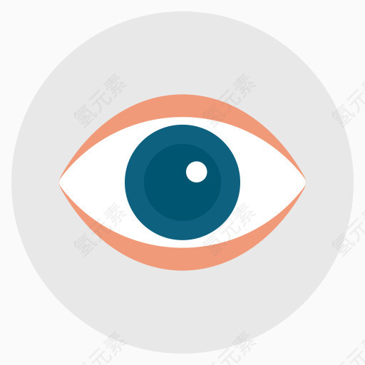眼眼球看搜索间谍平面设计图标（设置2）