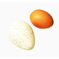 鹅蛋鸡蛋图片素材