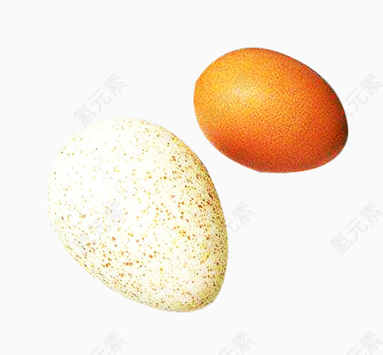 鹅蛋鸡蛋图片素材