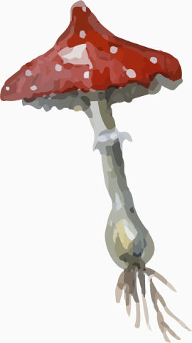 矢量手绘红色蘑菇