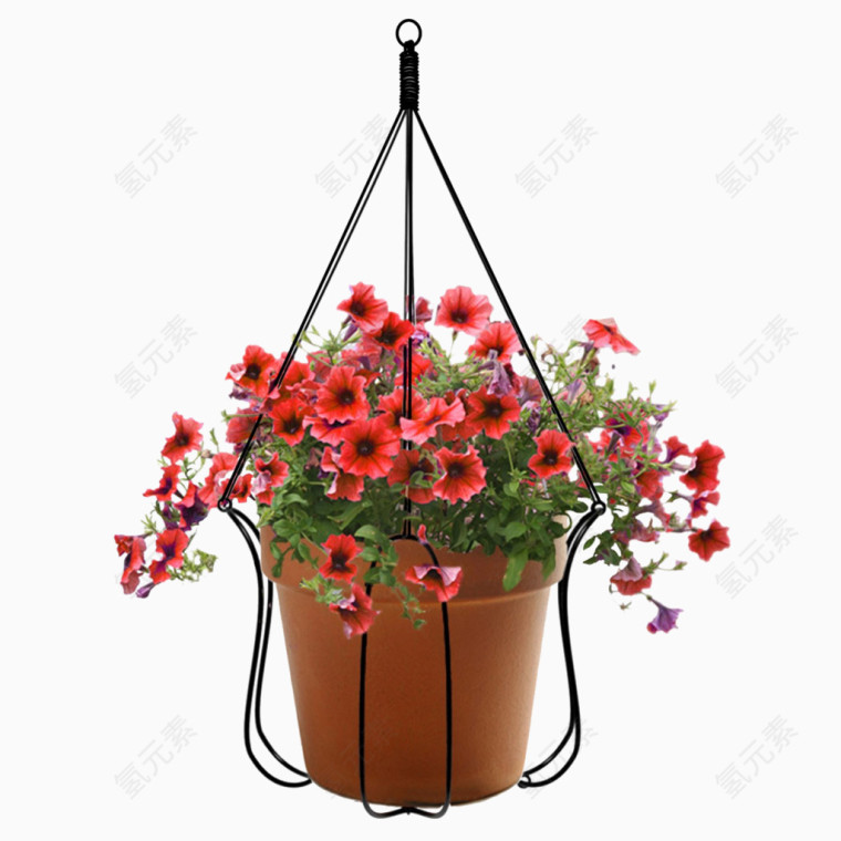 红色花朵吊篮
