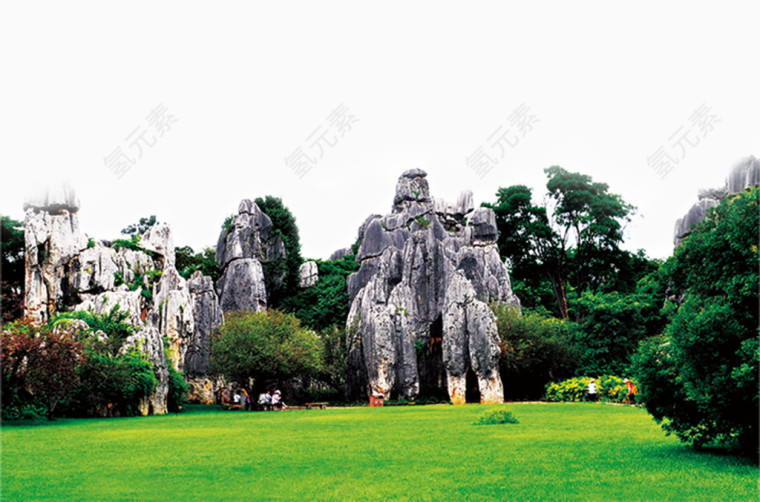 绿色石林风景