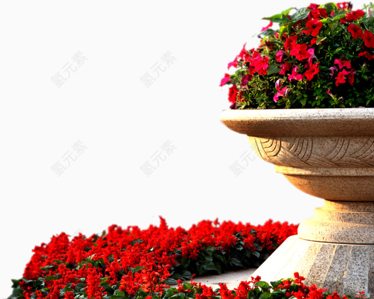花园花坛红色花朵