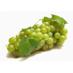 新鲜绿葡萄