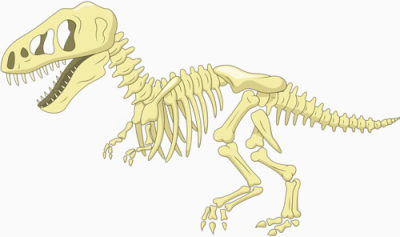 恐龙化石下载
