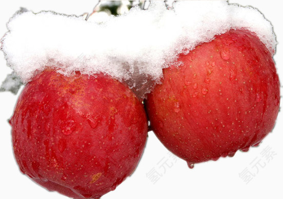 被大雪覆盖的两个苹果