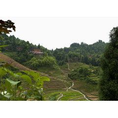 广西龙脊梯田风景