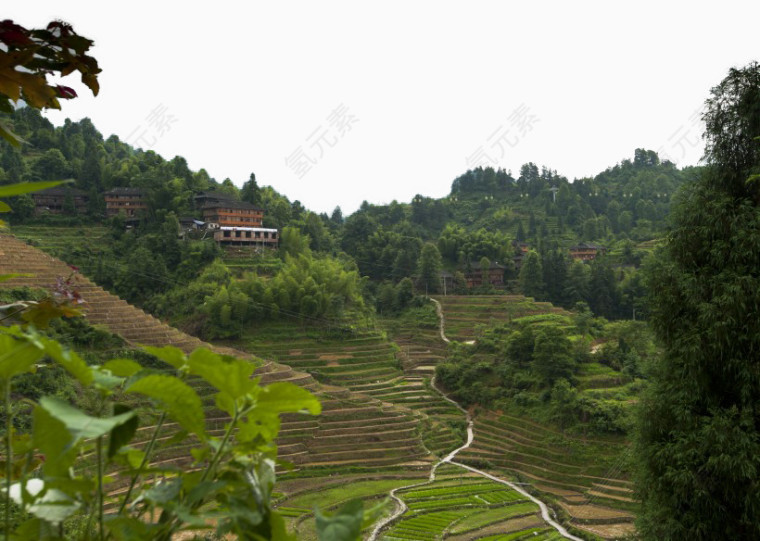 广西龙脊梯田风景