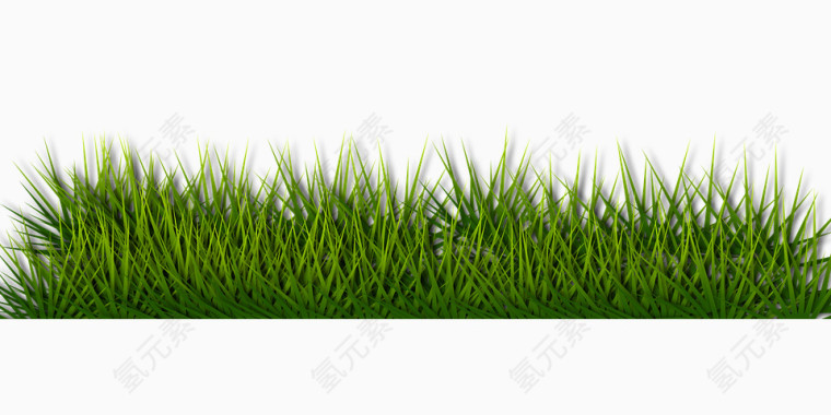 绿色的郁郁葱葱的草地