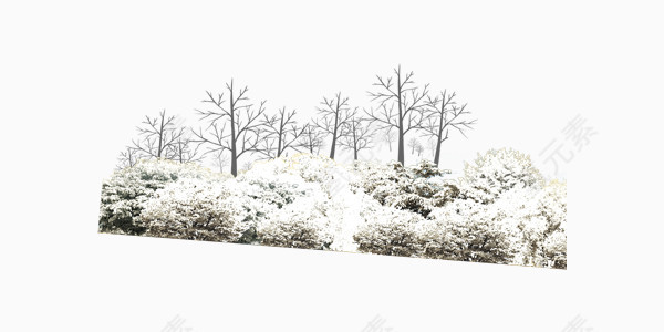 冬天雪地树木结余素材