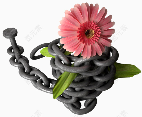 铁链和鲜花
