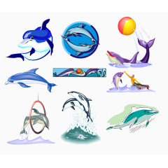 海豚种类