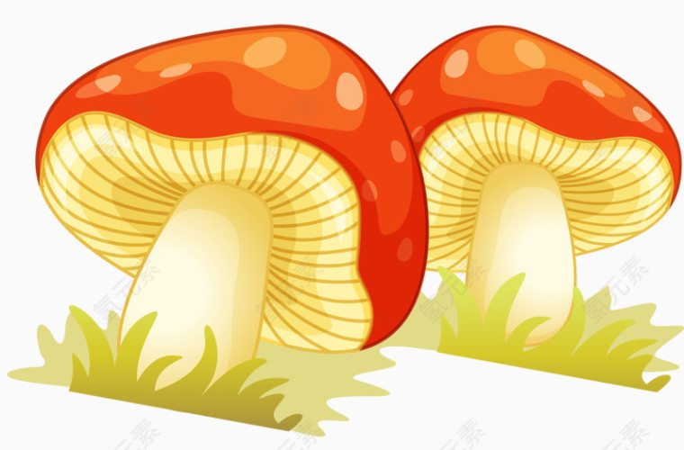 花色蘑菇