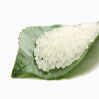 软香稻米下载