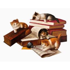 书籍和猫咪