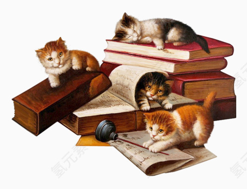 书籍和猫咪