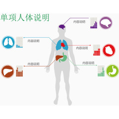 单项人体说明图表