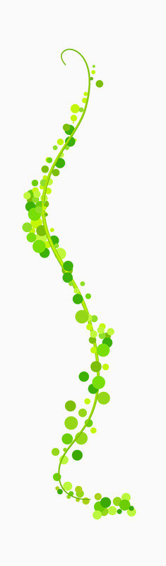 绿色素雅植物藤蔓