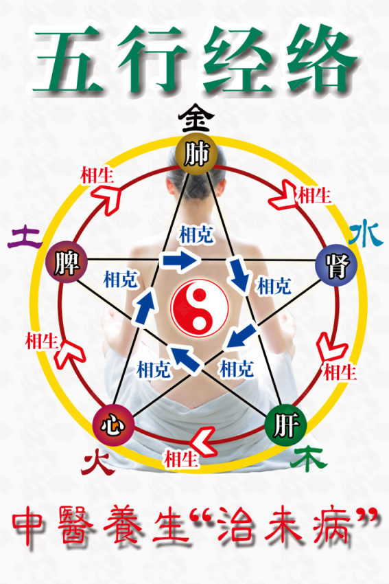 五行经络下载