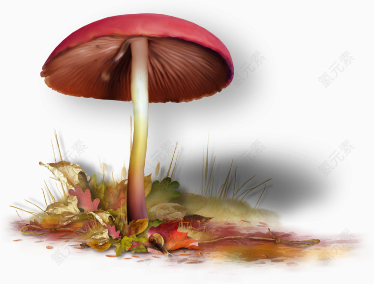 色彩鲜艳的大蘑菇免扣素材