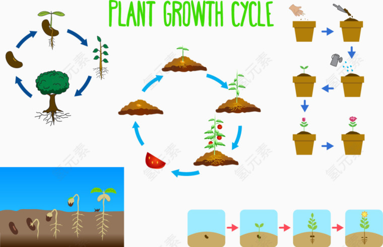矢量图绿色植物的栽培