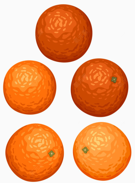 5个橙子下载