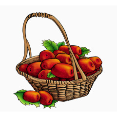手绘 水果 一筐红枣 食品
