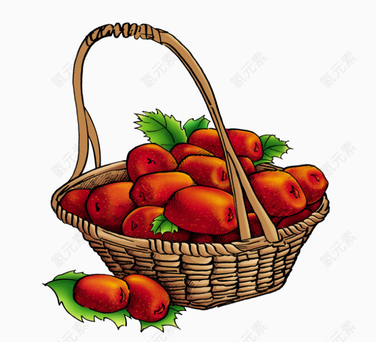 手绘 水果 一筐红枣 食品