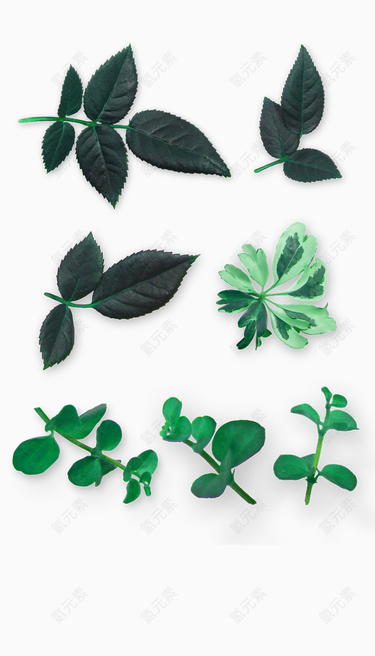 绿色简约树叶装饰图案