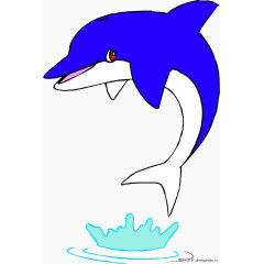 蓝色的海豚