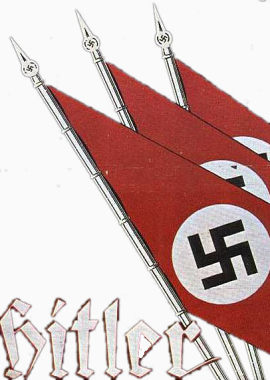 纳粹党旗
