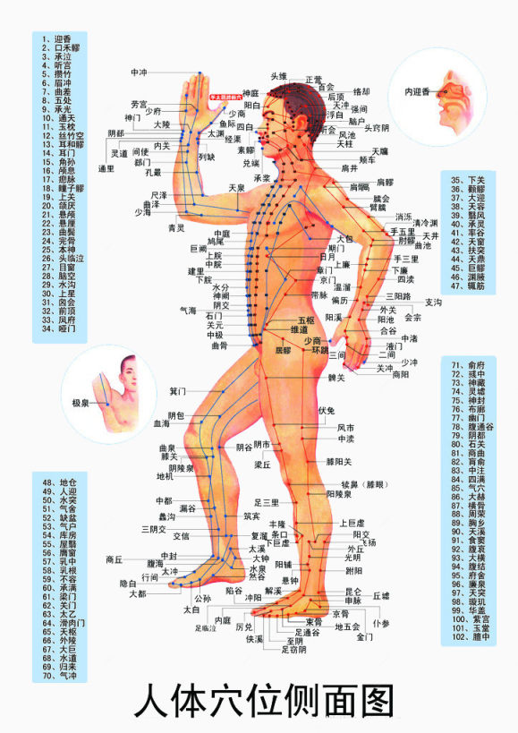 人体穴位侧面图下载