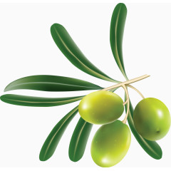 3颗绿橄榄装饰素材
