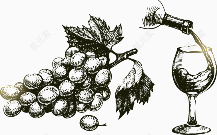 矢量手绘线描葡萄和葡萄酒