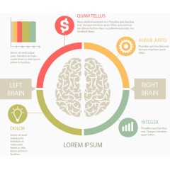 彩色环形大脑分类图