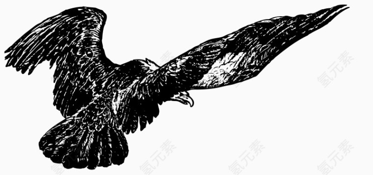 黑色的卡通手绘鹰