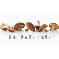 蓝瘦香菇是什么意思