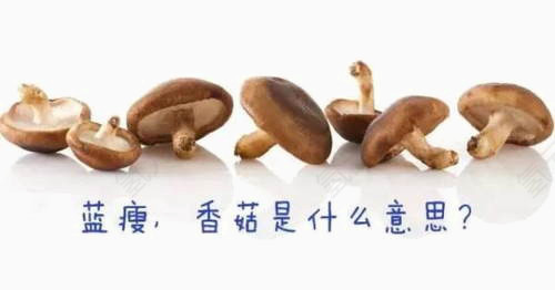 蓝瘦香菇是什么意思