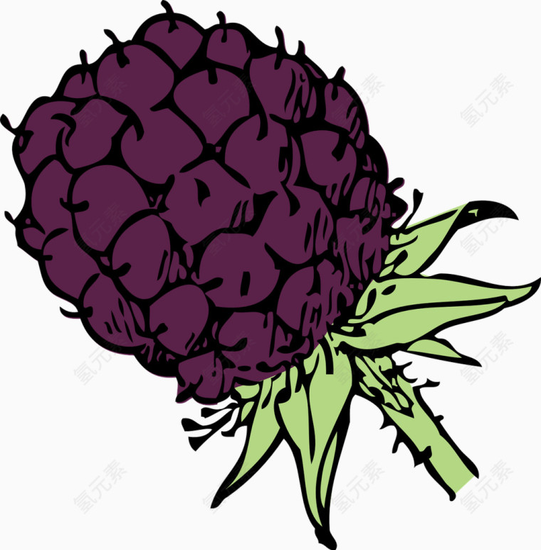 紫色的果实