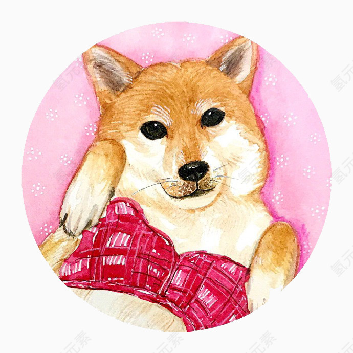 可爱的柴犬插画素材