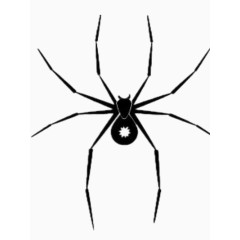 黑色蜘蛛矢量图