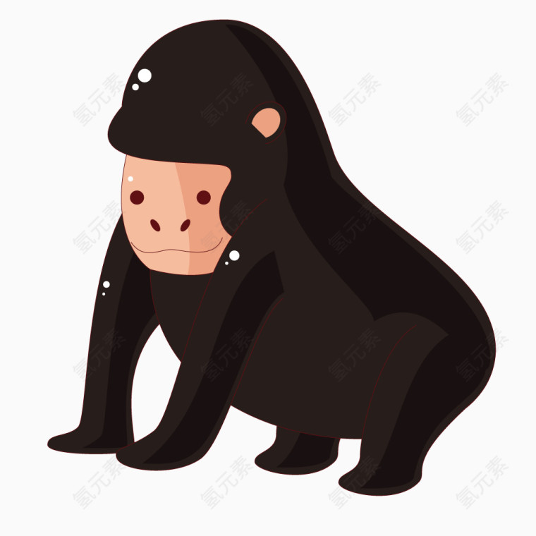 黑色动物狒狒