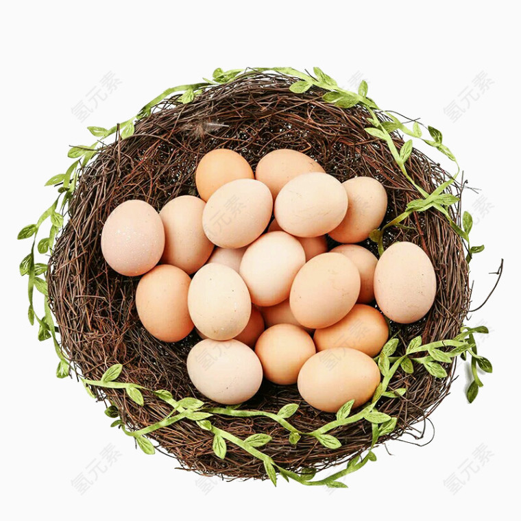 鸟窝里面的鸡蛋