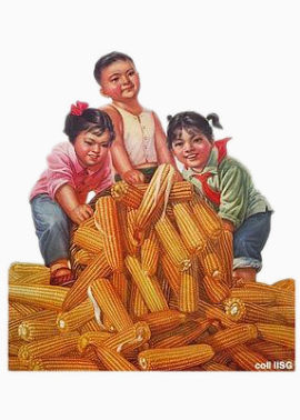 三个小孩与黄灿灿的玉米
