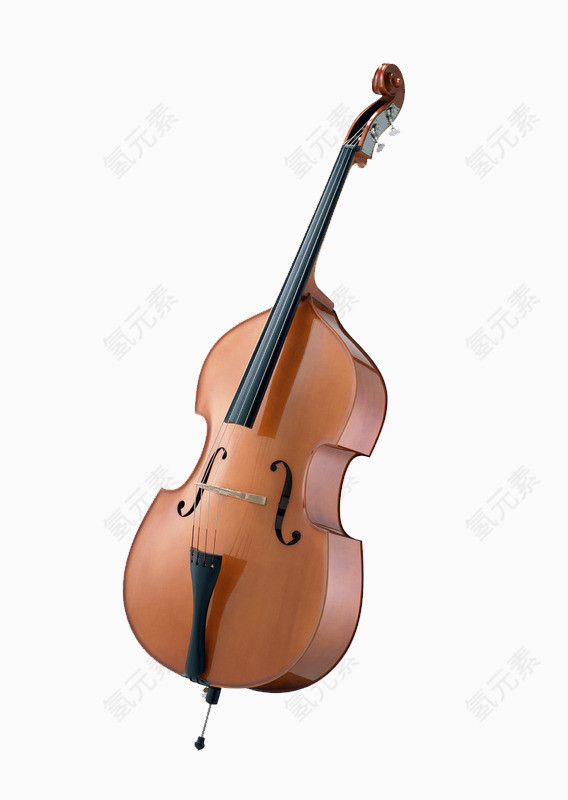 棕色大提琴