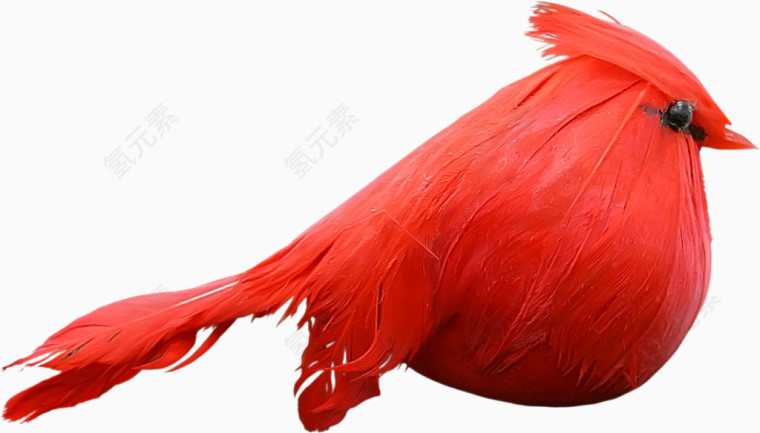 红色漂亮小鸟
