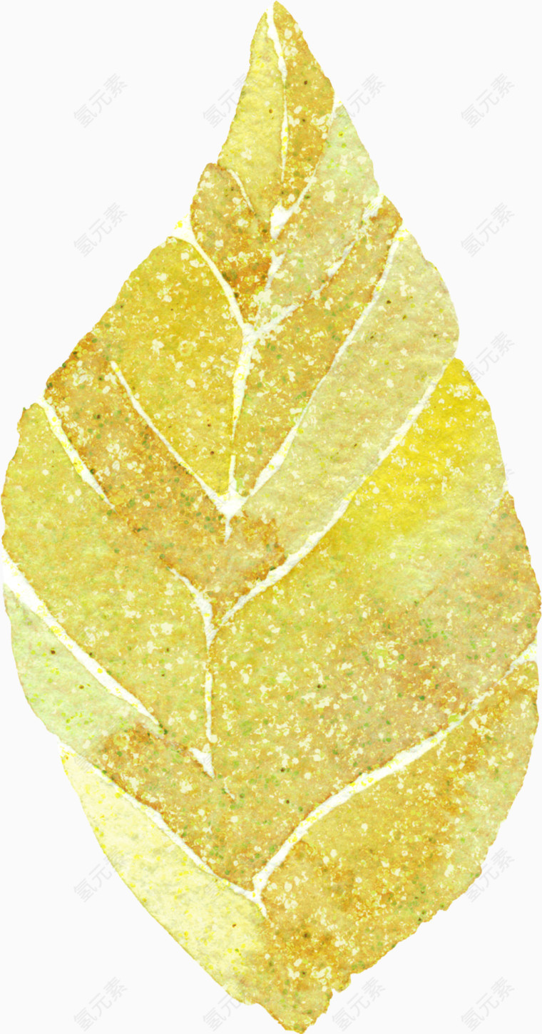 金色树叶