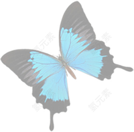 怀旧的美国图片 蓝色蝴蝶