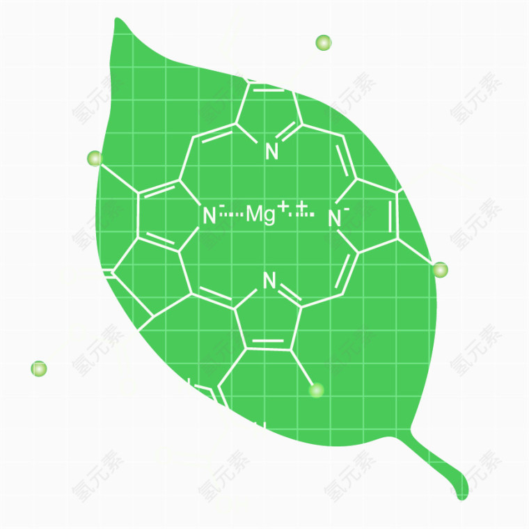 矢量生物叶绿素图案