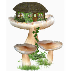 建在蘑菇上的房子